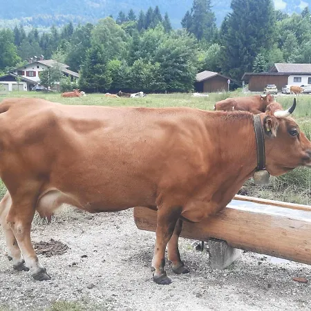 Fischer's Postresidenzen Apartman Ettal